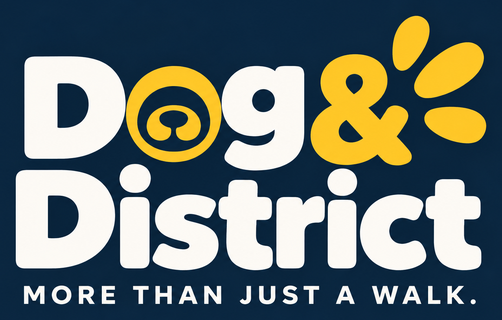 Dog & District — More than just a walk